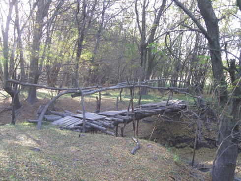 http://www.quasarcomunicacion.com.ar/reserva/2010/puente.gif